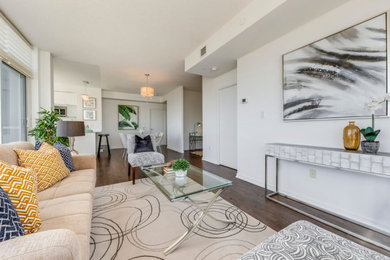 Living room - contemporary living room idea in Toronto