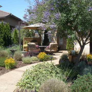 Drought Tolerant Landscape with Courtyard Feel