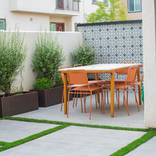 2018 backyard