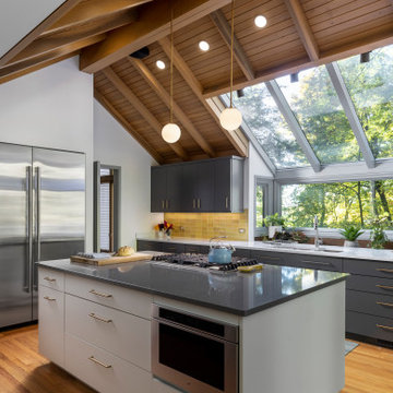 Mid-Century Modern Kitchen With a View