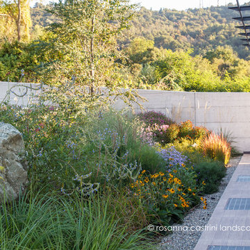 Un giardino collinare in stile Dutch Wave