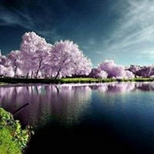 Jocelyn Smith-Stakely's photo