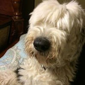 Cindy Gichtenberl's photo