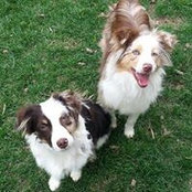Tara Michels's photo