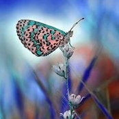 Foto von Agnes Reyes