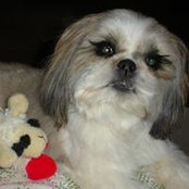 Foto von Lola Rose
