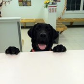 Kathy Yates's photo