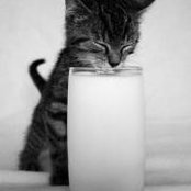 Anja Đurđanović's photo