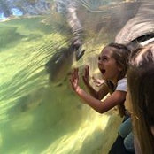 Sina Gilbert's photo