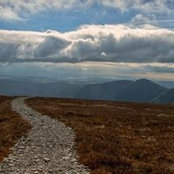 Sam Rennison's photo