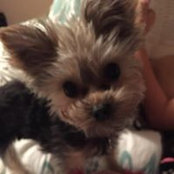 Denise Salla's photo