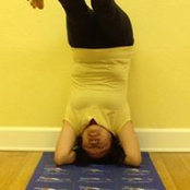 Foto von Annie Lee