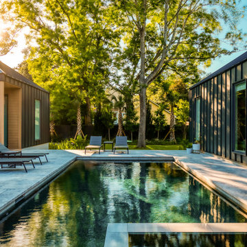Summerville Modern