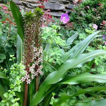 Flower Gardens and Beds