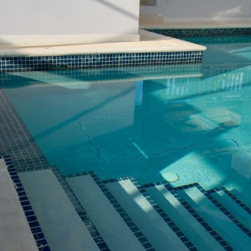 Peacock and Shell Beach Pool