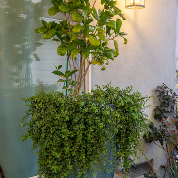 Culver City Residential Retreat