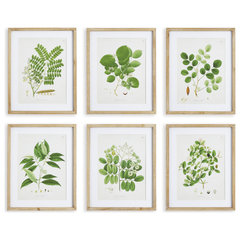 Botanical Study Leaf Berry Flower Wall Art Gold Frame Set Of 6 ~ Uttermost  33651