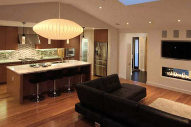 Living room - contemporary living room idea in Los Angeles