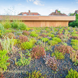 Green Roofs - Outdoor Products