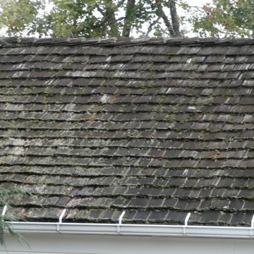 December 2016 - FSan -Roof restoration, power wash, repair, treatment