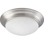Progress - Progress P3688-09 One-Light Close-To-Ceiling Fixture - One-light close-to-ceiling fixture with etched alaOne-Light Close-To-C Brushed Nickel Etche *UL Approved: YES Energy Star Qualified: n/a ADA Certified: n/a  *Number of Lights: Lamp: 1-*Wattage:60w Medium Base bulb(s) *Bulb Included:No *Bulb Type:Medium Base *Finish Type:Brushed Nickel