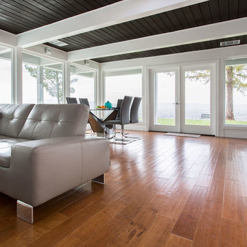 Living and Dining room