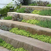 Steps