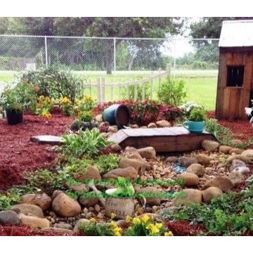 Re-purposed Backyard