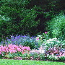 Evergreens in the Cottage Garden