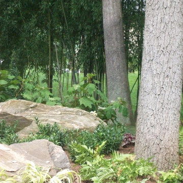 Naturalized Foundation and Walk