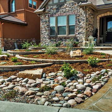 Back Country - Highlands Ranch - Swim Spa