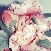 Dariya Mihailova's photo
