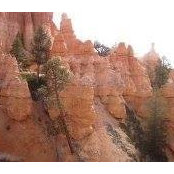 Laurie Lundy-Ekman's photo