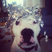 Nikki Engleman's photo