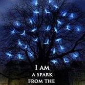 Foto von Lisa-Hope Naismith Morgan