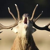 Rob Sharrock's photo