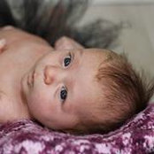 Darcy Dan Fritsch's photo
