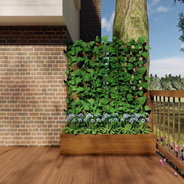 Backyard Design (Pennsylvania)