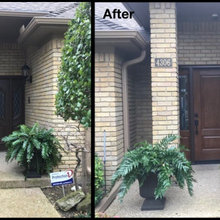 Front Doors