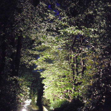 Il Bosco Giardino (Un Piccolo Giardino)