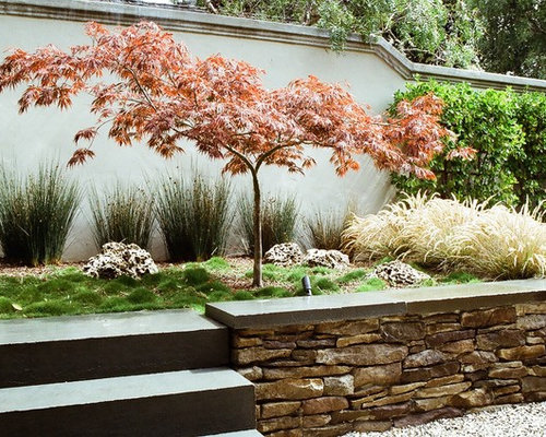 Japanese Maple Garden Design Ideas &amp; Remodel Pictures | Houzz