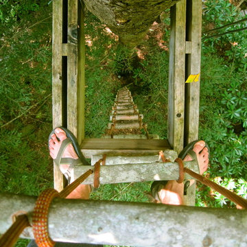 red river gorge tree houses