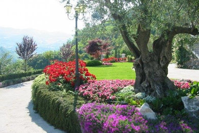 ヴェネツィアにあるおしゃれな庭の写真