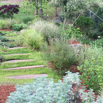Pacifica California Native Landscape