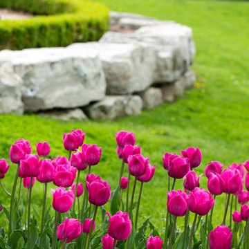 Front Yard Flower Landscaping in Suwanee Georgia