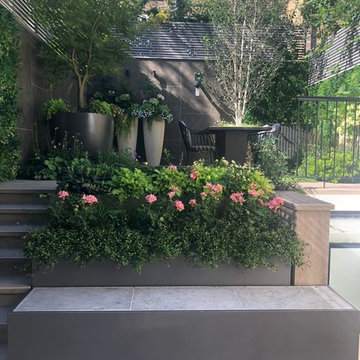 Chelsea House