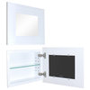 14x11 Landscape Mirrored Medicine Cabinet, White