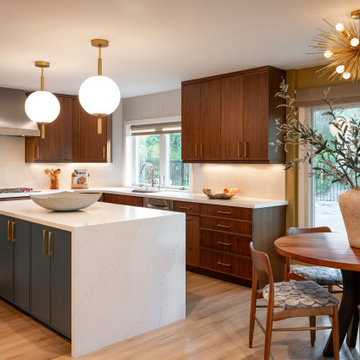 Westlake Village Modern Walnut Kitchen