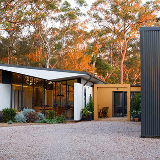 Contemporary one-storey multi-coloured house exterior in Sydney with mixed siding and a shed roof.
