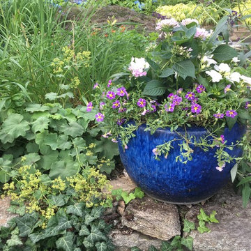 Secret Garden